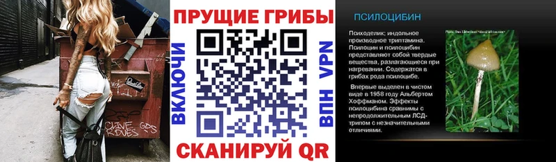 Псилоцибиновые грибы мицелий  Облучье 
